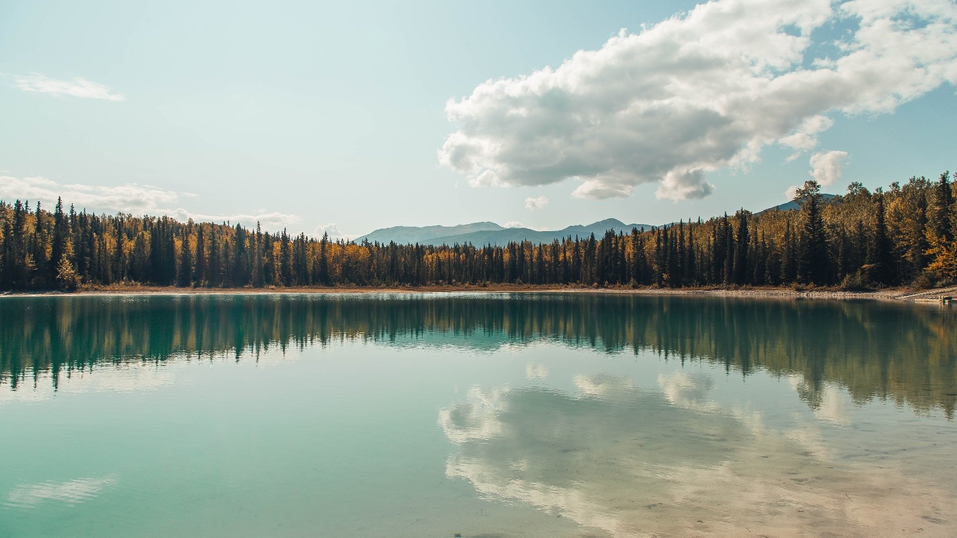 开云体育官网下载-中超联赛国家队爆冷 球迷分析战术失误，中超联赛足球队