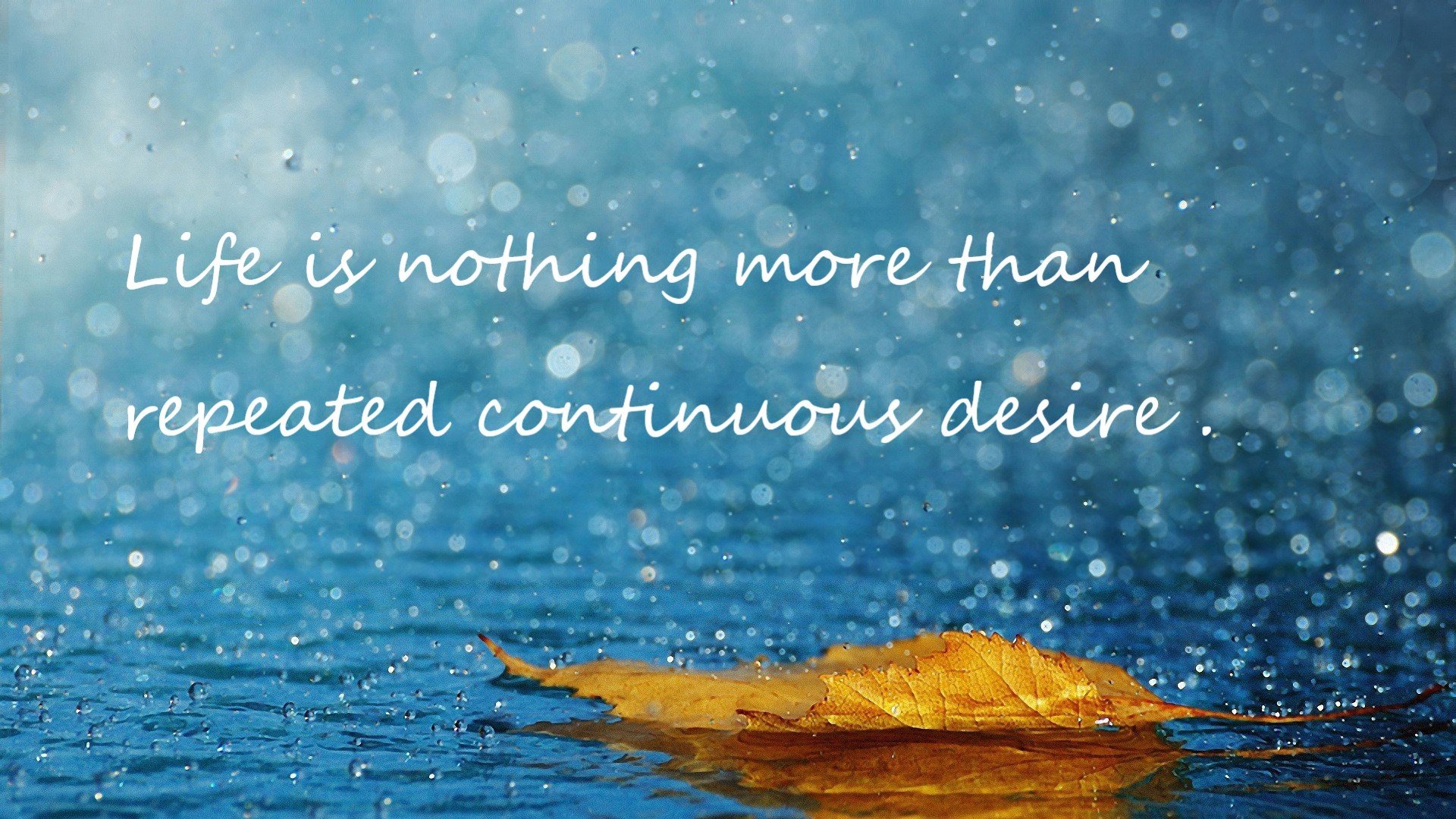 新型乒乓球拍设计引领比赛革命，乒乓球拍创意