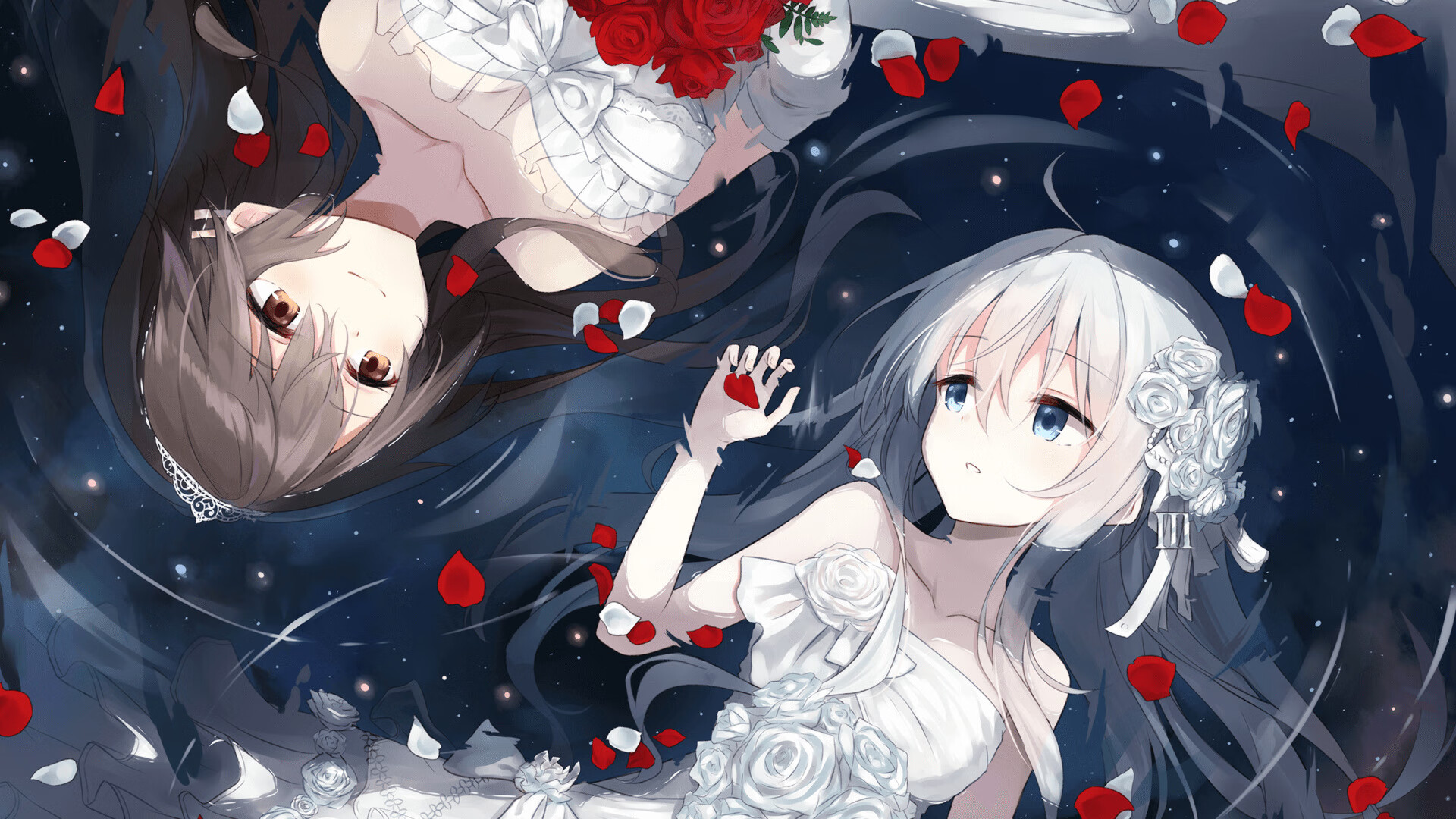 澳大利亚队的未来:借助先进设备提升竞技表现,澳大利亚队战绩