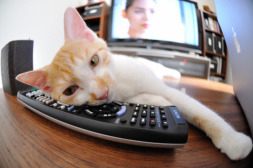 kaiyun网址-球队平均得分79分，对手95.2分，净负16.2，球队得分算加时吗