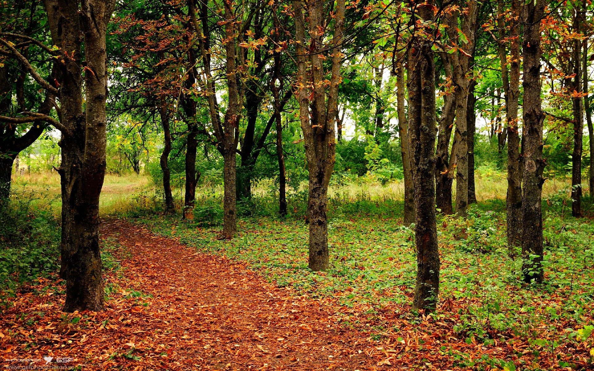 球队平均得分79分，对手95.2分，净负16.2，球队得分算加时吗