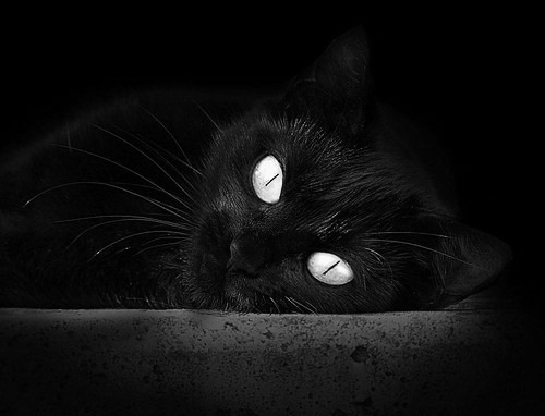 中国篮协推动训练内容个性化调整提高针对性,中国篮协改革的问题和应对