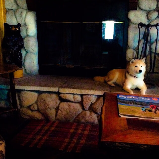 女足比赛场地标准化推进整体比赛环境更为专业,女足比赛的规则