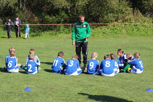 开云体育网站-欧洲杯总冠军之争：战术智慧与个人能力的较量，欧洲杯冠军百度百科