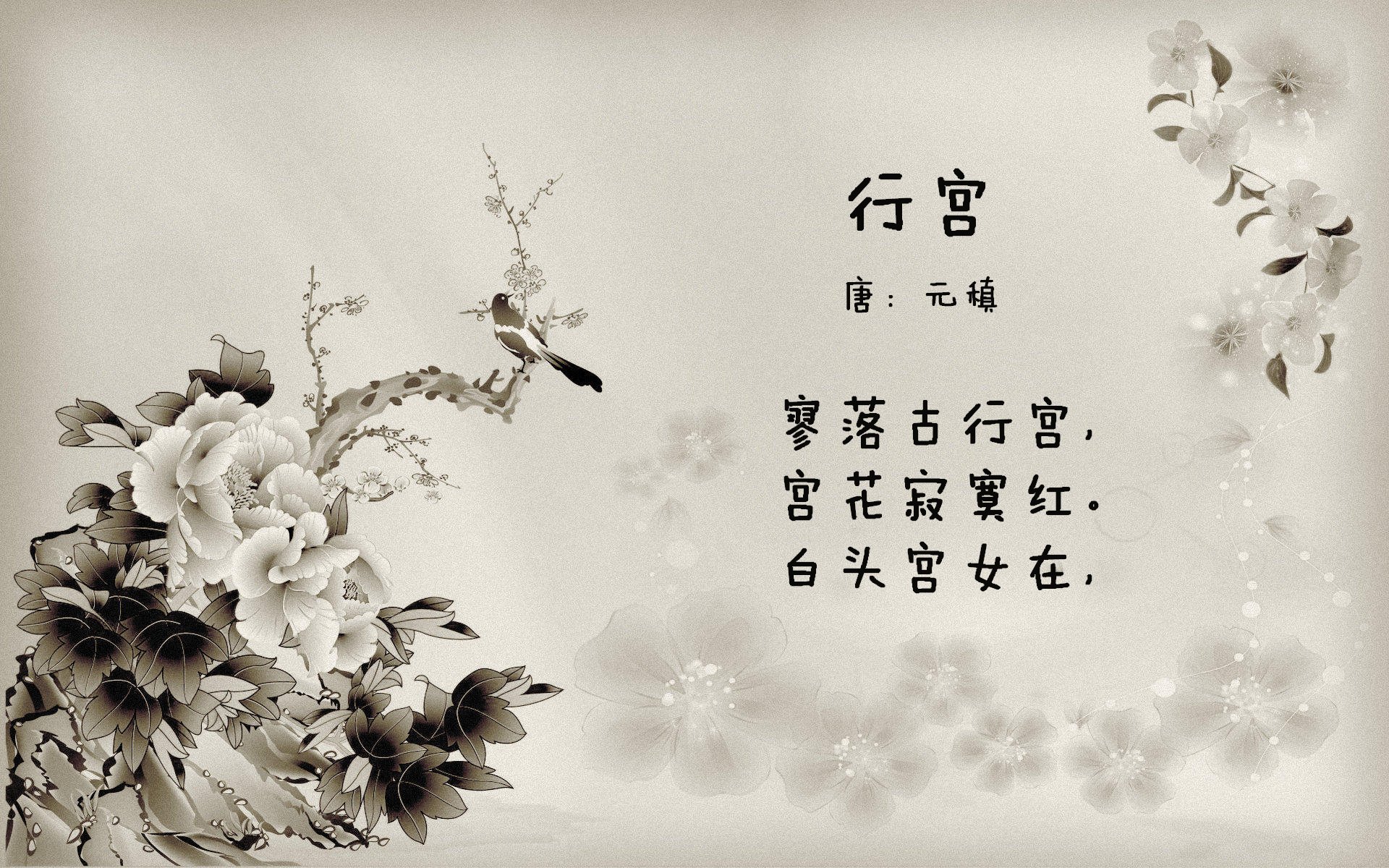 皮特·卡普尔的爆发力与敏捷性让袋鼠队攻守平衡更有保障,卡尔皮纳袋鼠