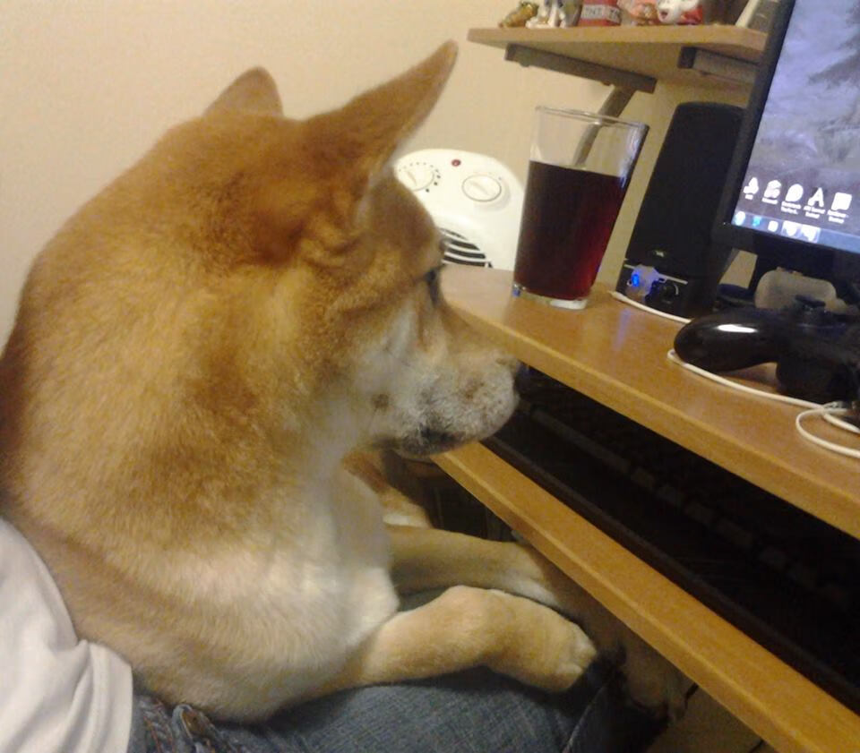 美洲杯激情狂欢：明星演绎绿茵盛宴！，播放美洲杯