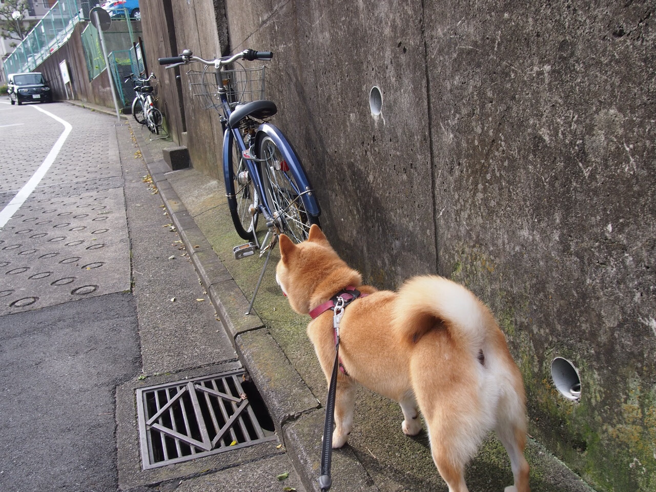 开云体育娱乐-21人遇难案责任人申诉失败，21人遇难算什么事故