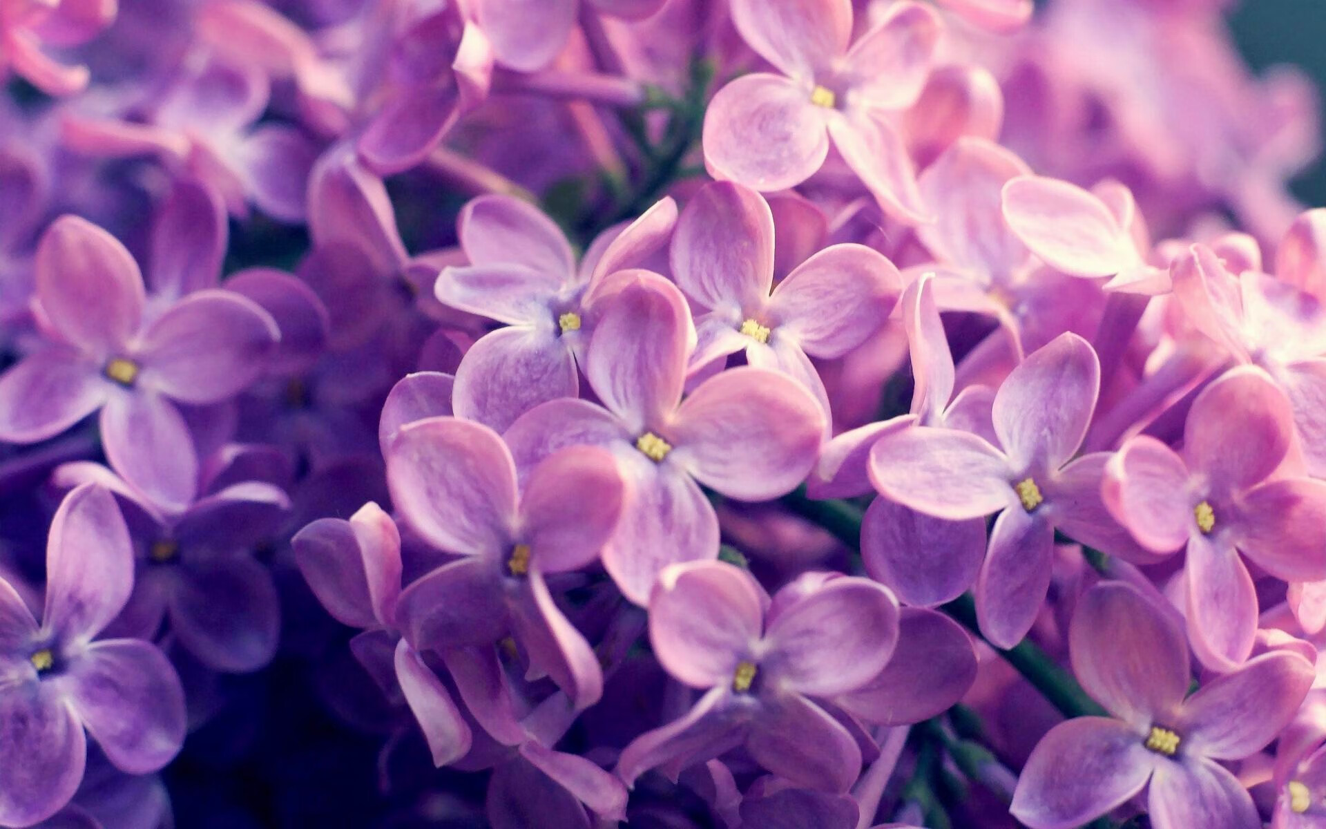 开云官网-中国足球青少年足球训练注重技术与心理并重，中国青少年足球发展路径选择