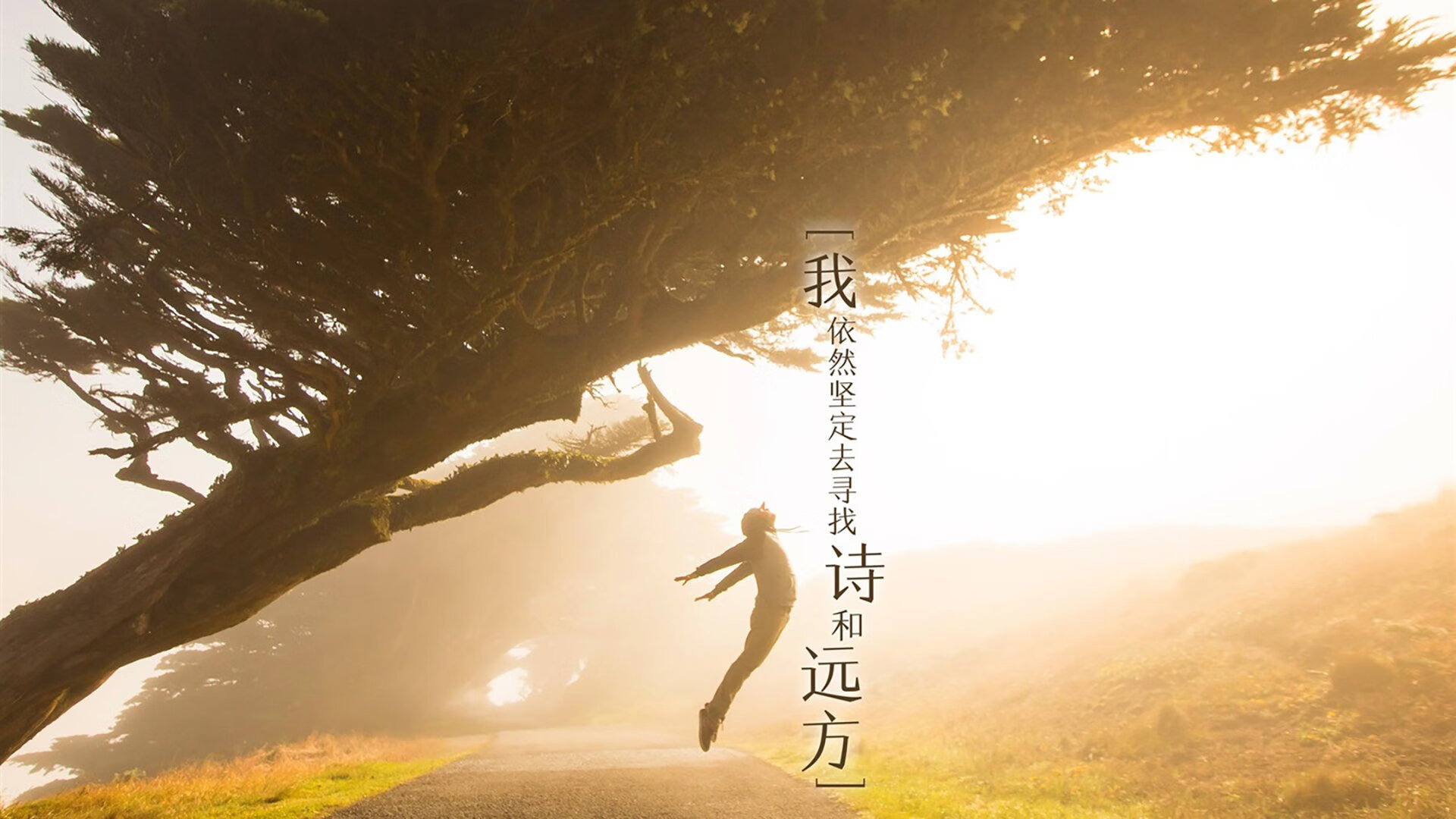 中超联赛球队战术多样化研究，中超联赛制度的变化