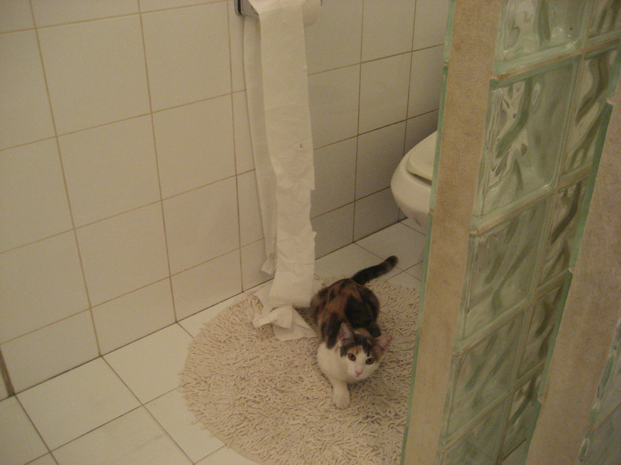 伤停+疲劳，尤文压力山大，nba尤文