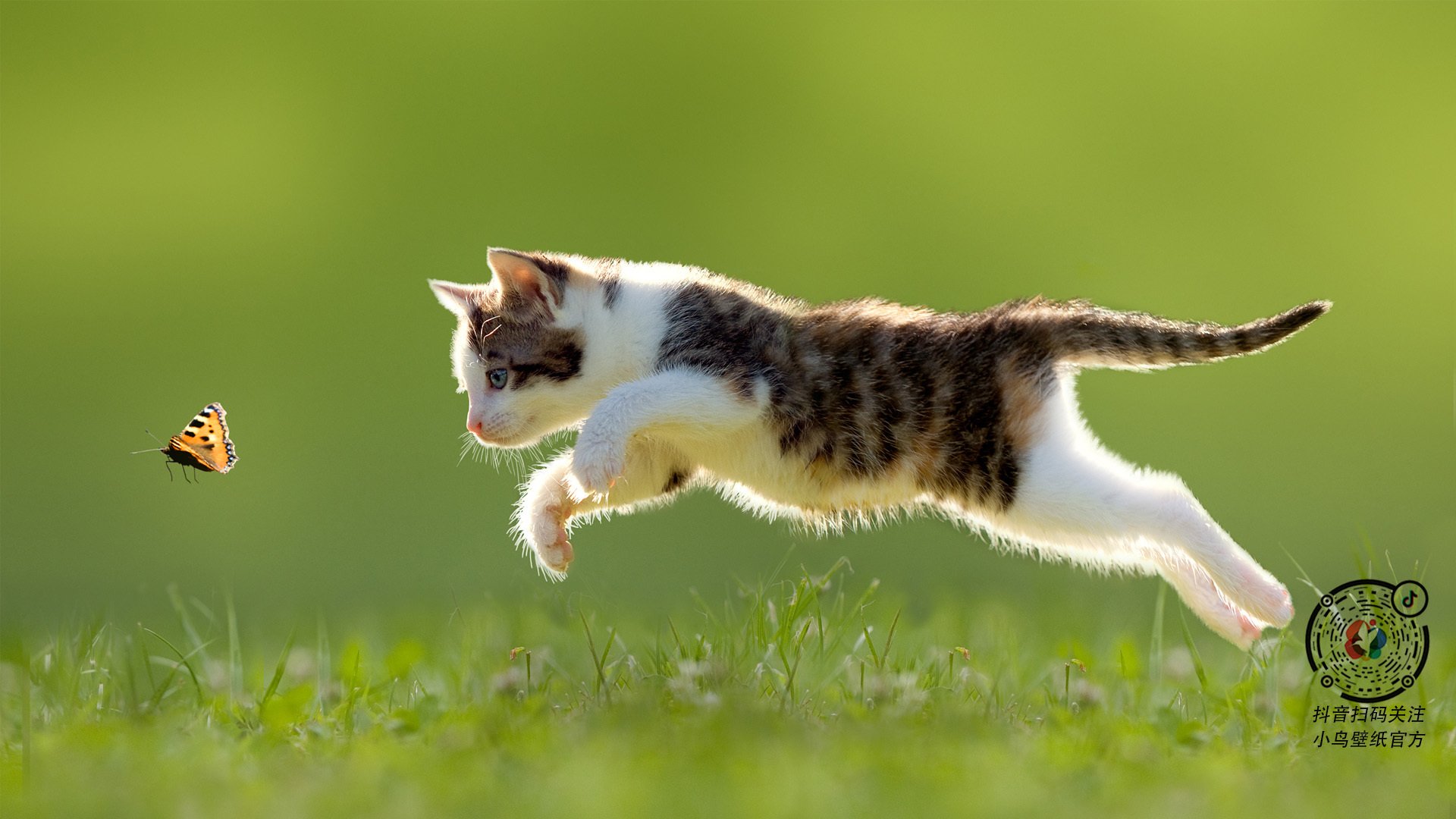 开运体育电脑版-体育新闻中心支持体育非营利组织内容传播协作，非营利性体育组织